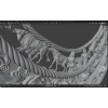 Scythian Pectoral Necklace — STL File for 3D Printing