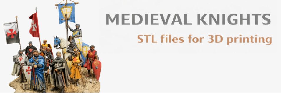 Medieval Knights