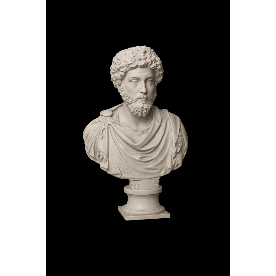 Bust of Marcus Aurelius for 3D Printing – STL File Bust of Marcus Aurelius for 3D Printing – STL File