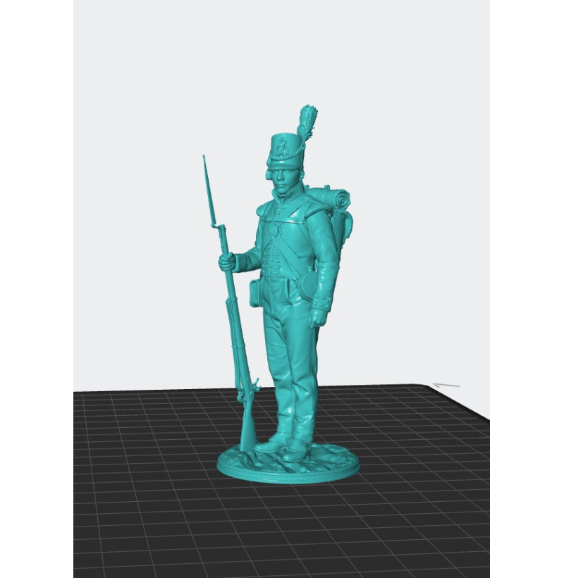 Napoleonic Infantry Soldier — STL Files for 3D Printing